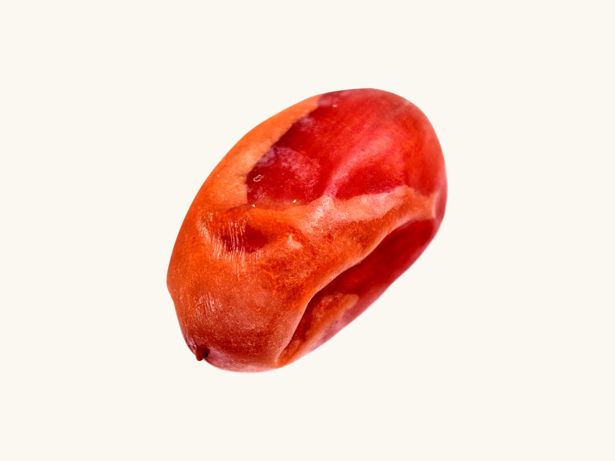 تمر خلاص